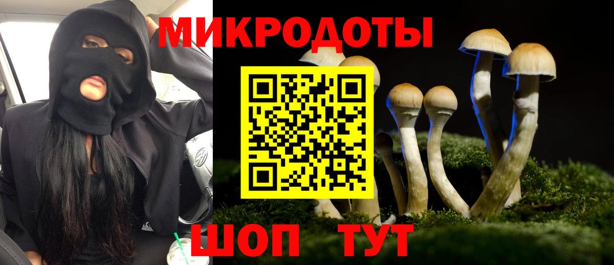 Псилоцибиновые грибы Magic Shrooms Кингисепп