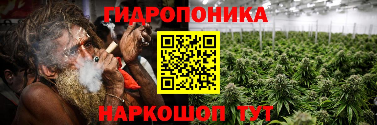 Канабис семена  Марихуана OG Kush  Кингисепп  Бошки марихуана Amnesia  Вход с VPN  МАРИХУАНА конопля 